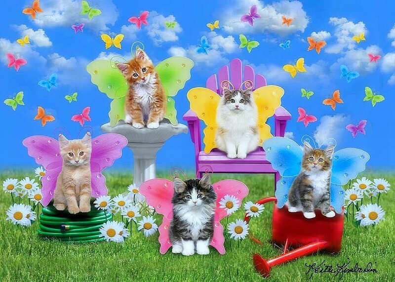 Kittens with Butterfly Wings — Blue