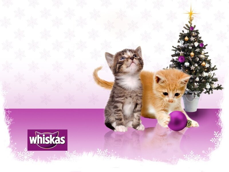 kittens with christmas tree