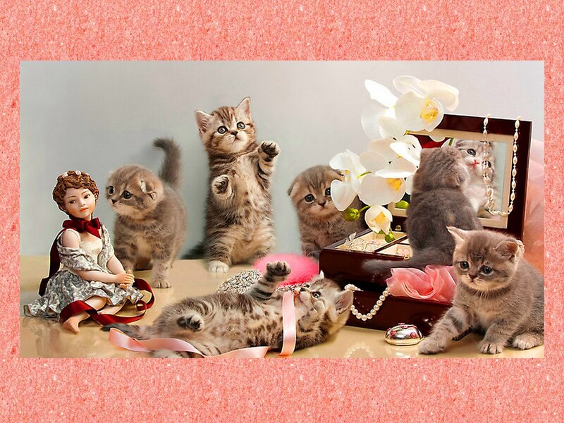 Kittens with Doll and Jewelry