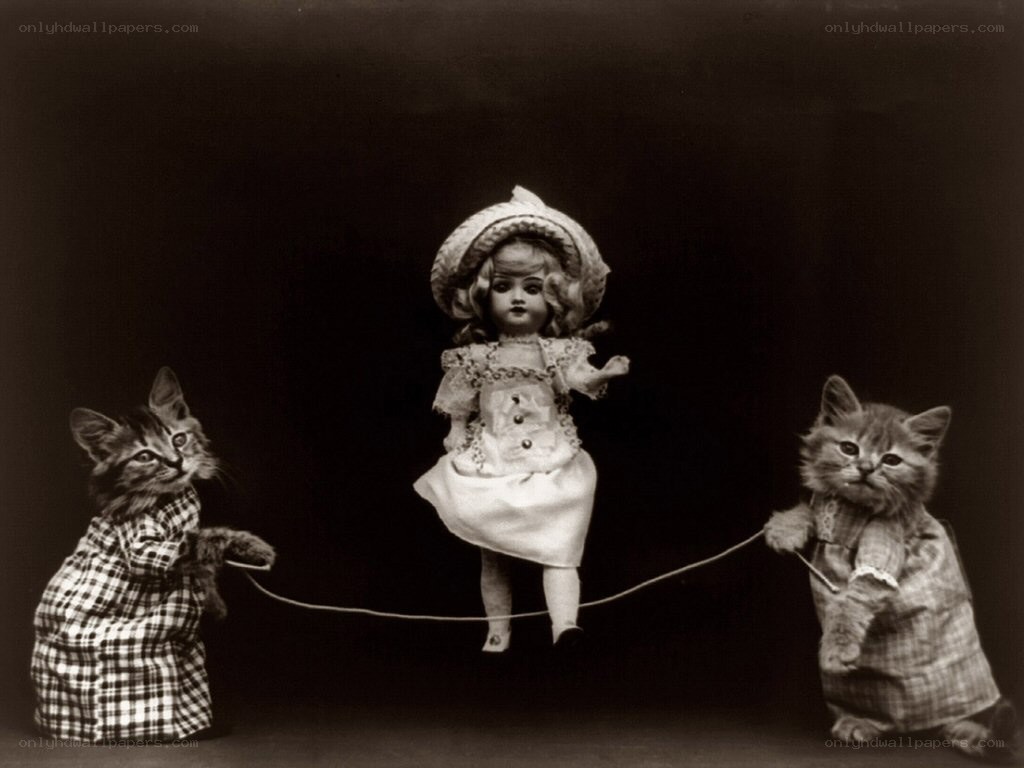 kittens with doll on rope
