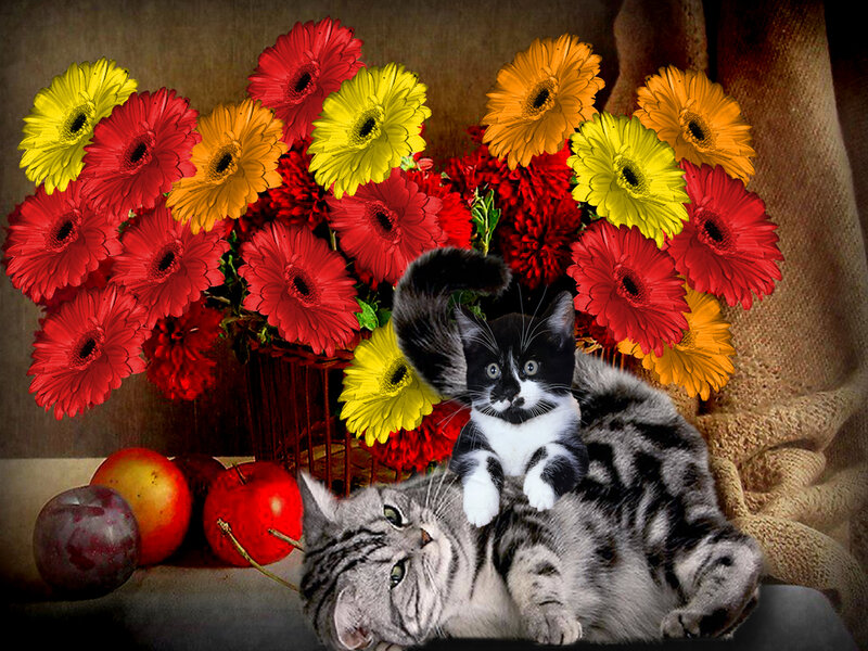 Kittens with Flowers