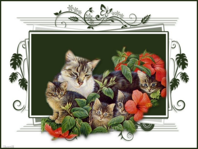 kittens with hibiscus flowers