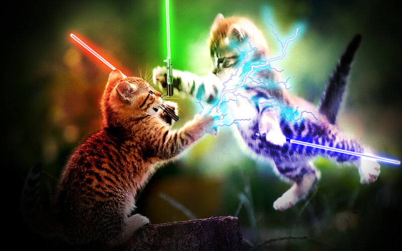 kittens with lightsabers