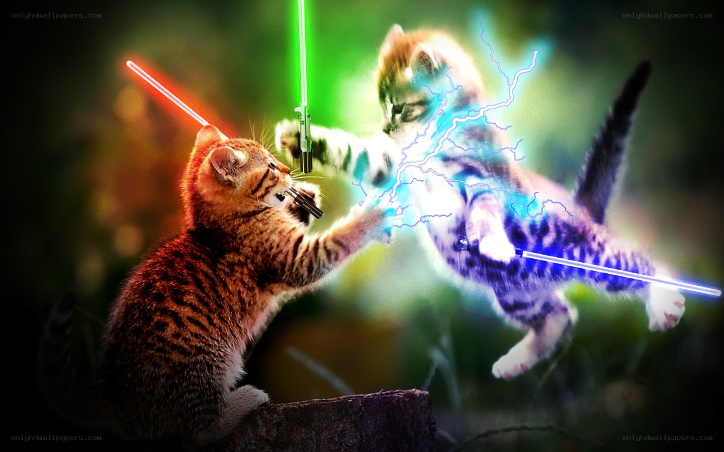 kittens with lightsabers