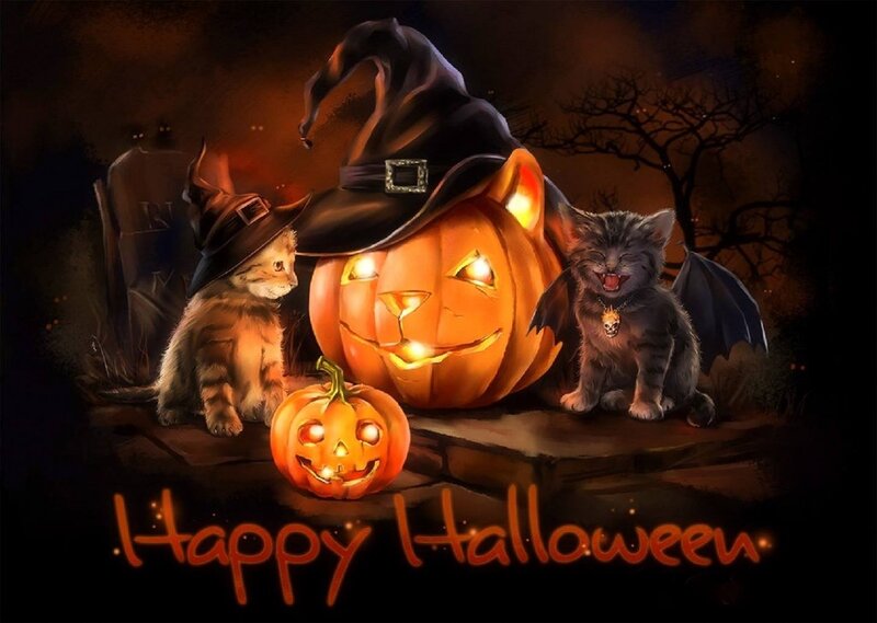 Kittens with Pumpkins — Orange, Festive