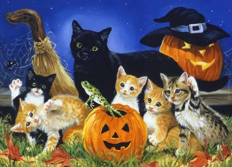 Kittens with Pumpkins — Orange