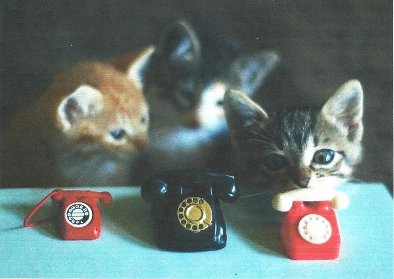 Kittens with Toy Phones — Red