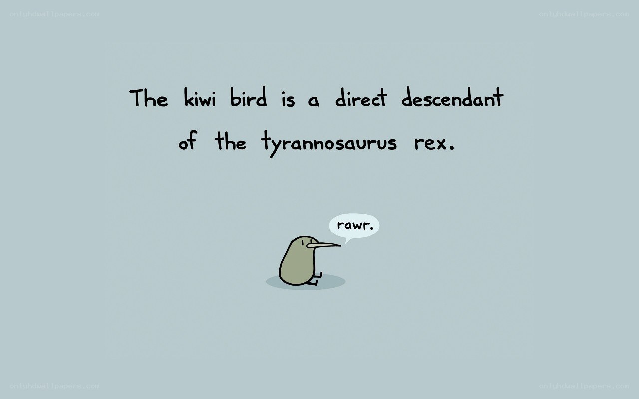 kiwi bird descendant fact