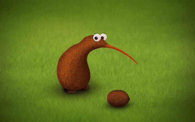 kiwi bird with fruit
