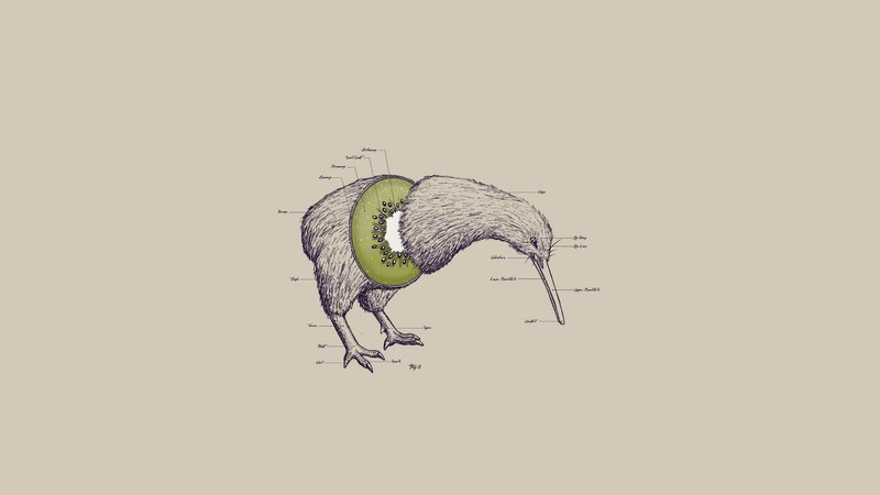 Kiwi Bird with Kiwi Fruit — Beige