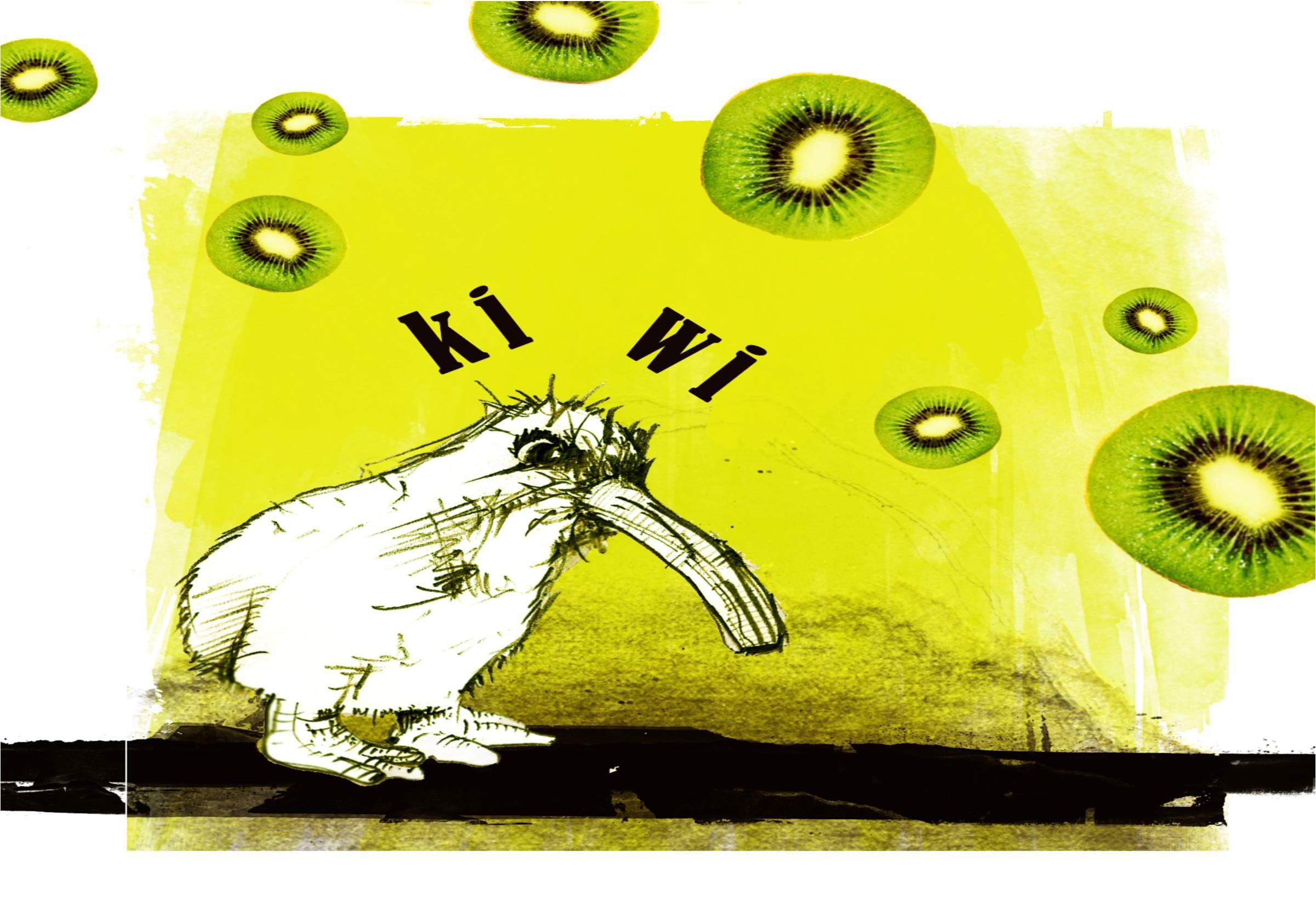 kiwi bird with kiwi fruit