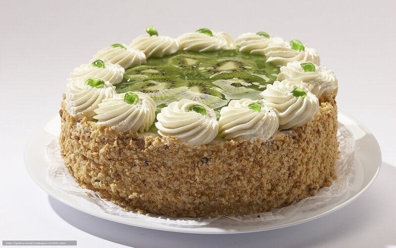 Kiwi Cake on Plate — White, Neutral