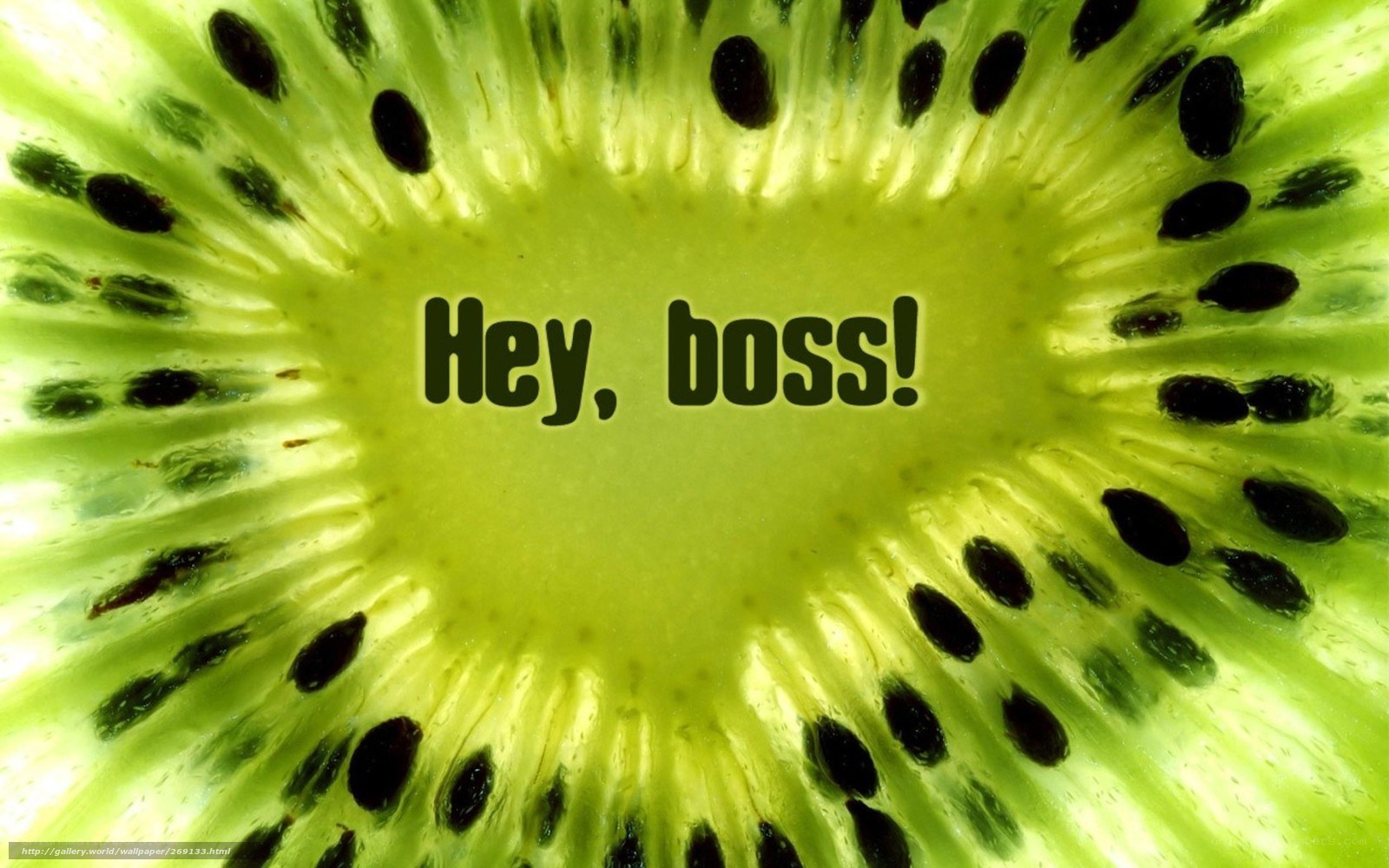 kiwi fruit close-up