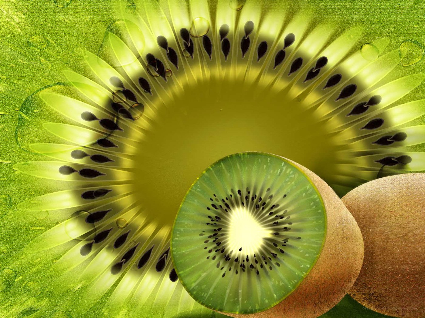 Kiwi fruit slice close-up