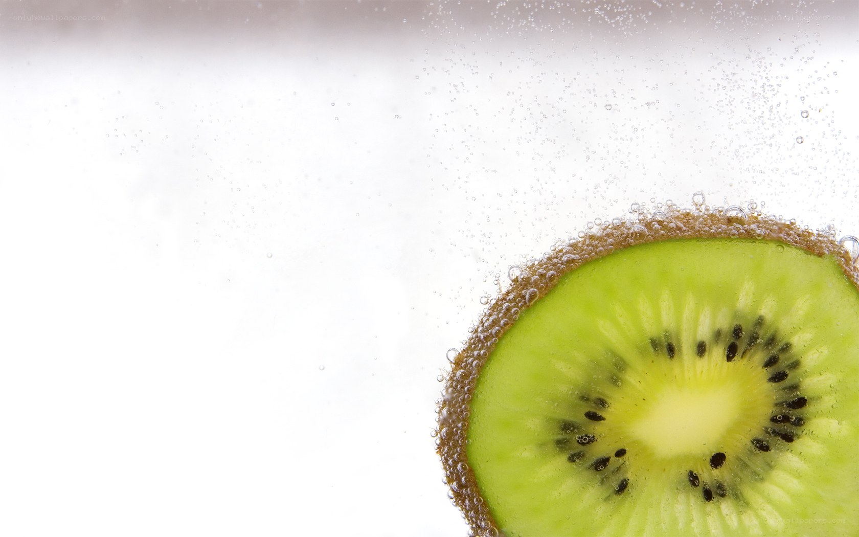 kiwi slice in sparkling water