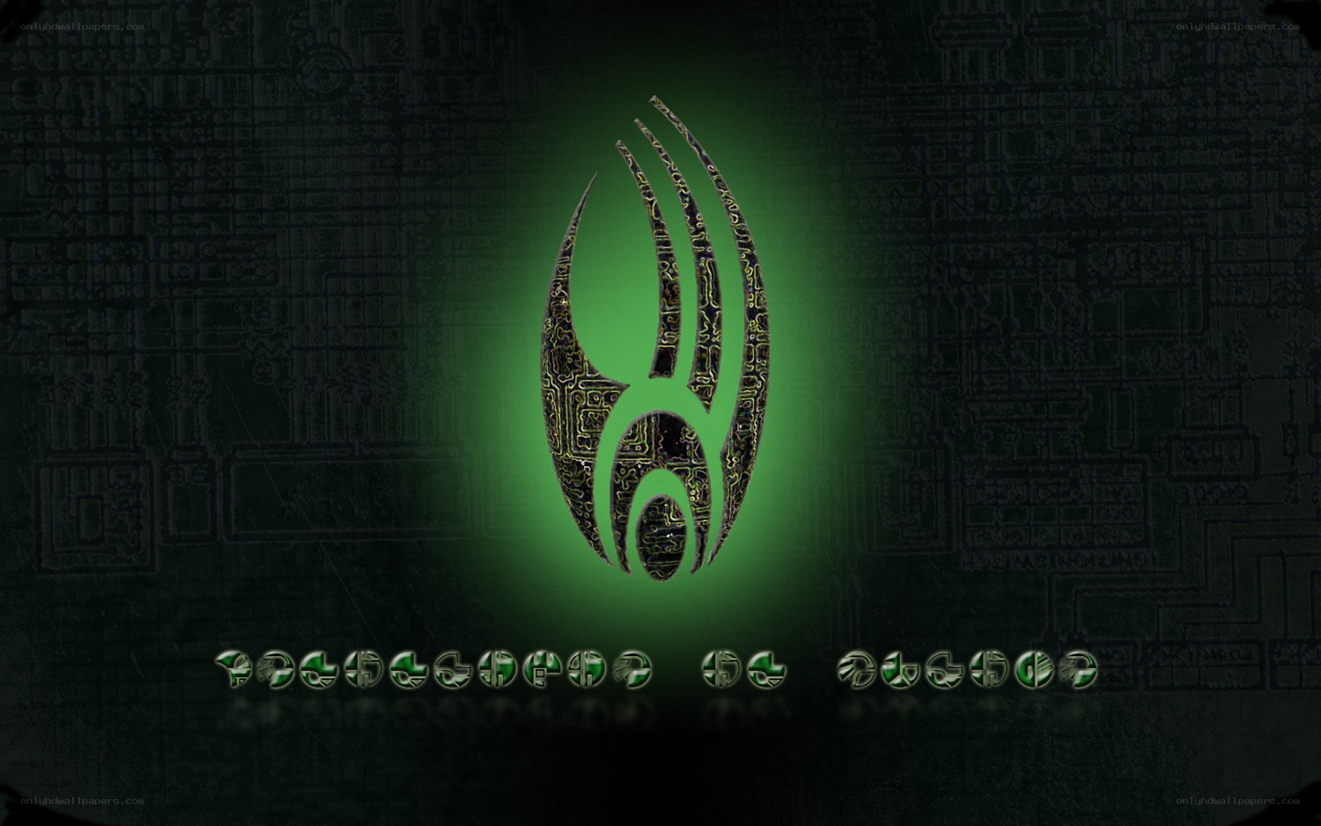 Klingon emblem on circuit board