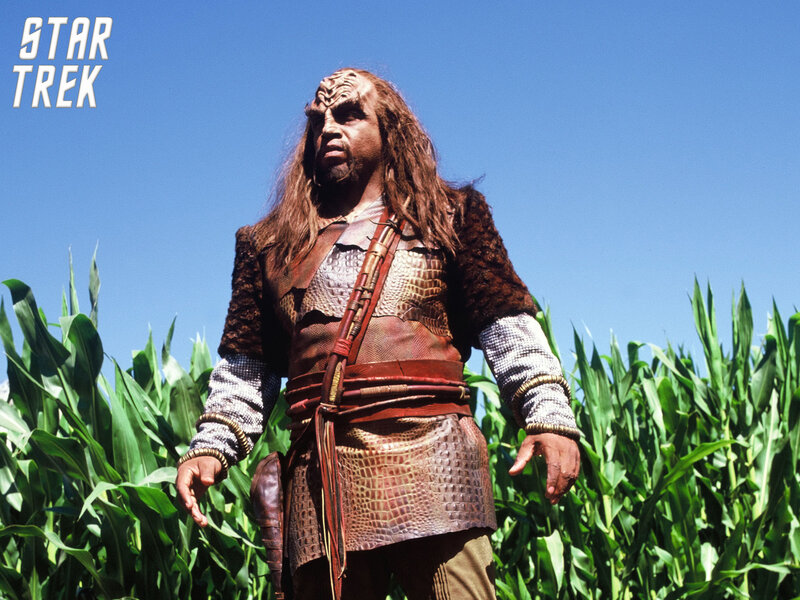 Klingon in Cornfield