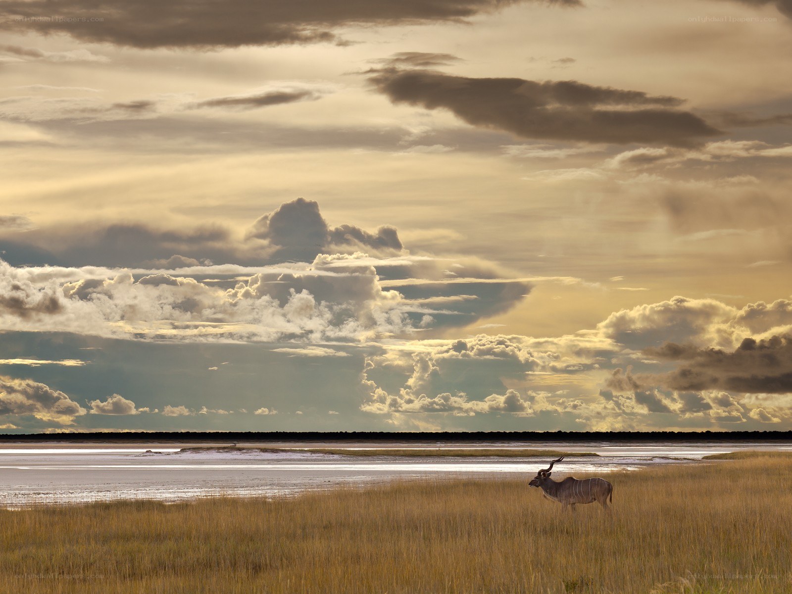 Klipskraal at sunset