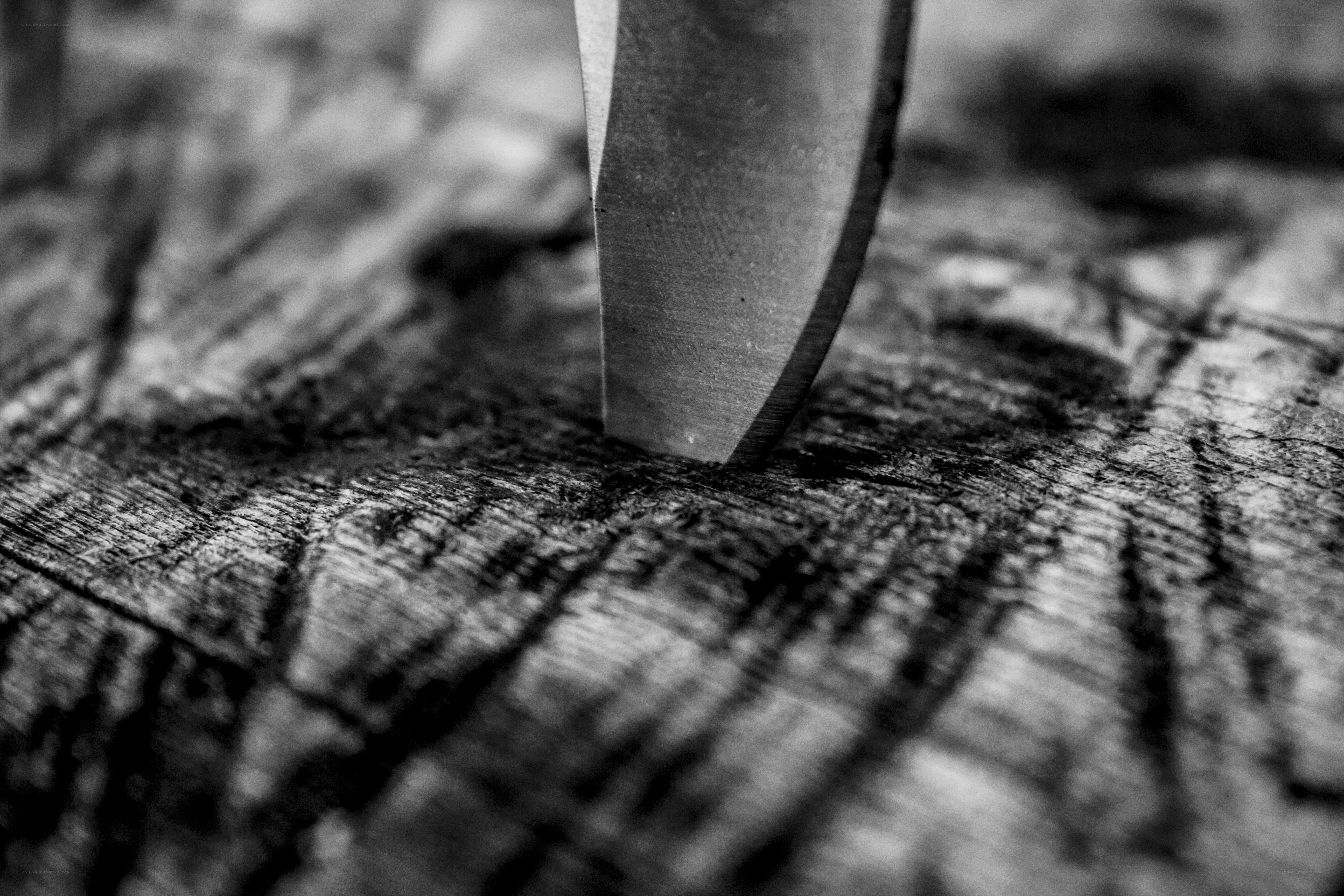 knife cutting wood