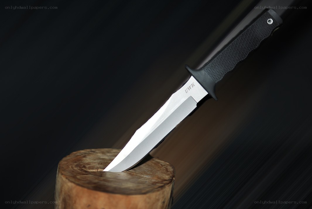 knife embedded in wooden stump