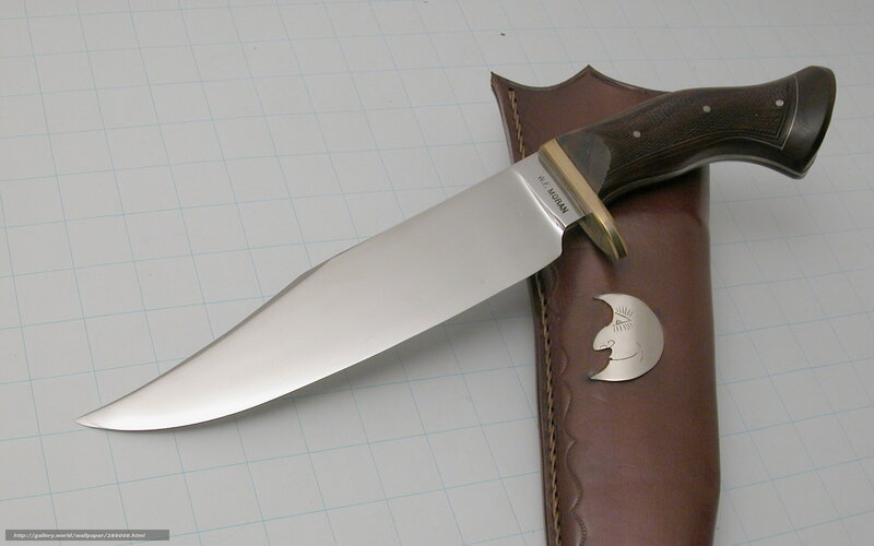 Knife in Leather Sheath