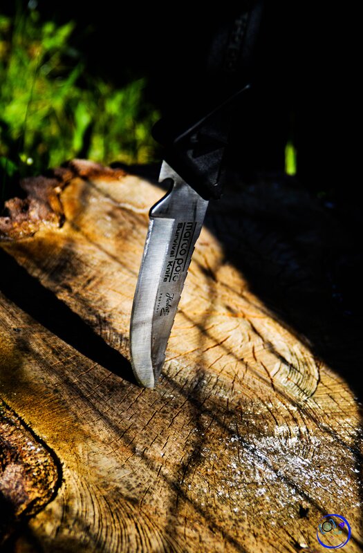 Knife in Tree Stump