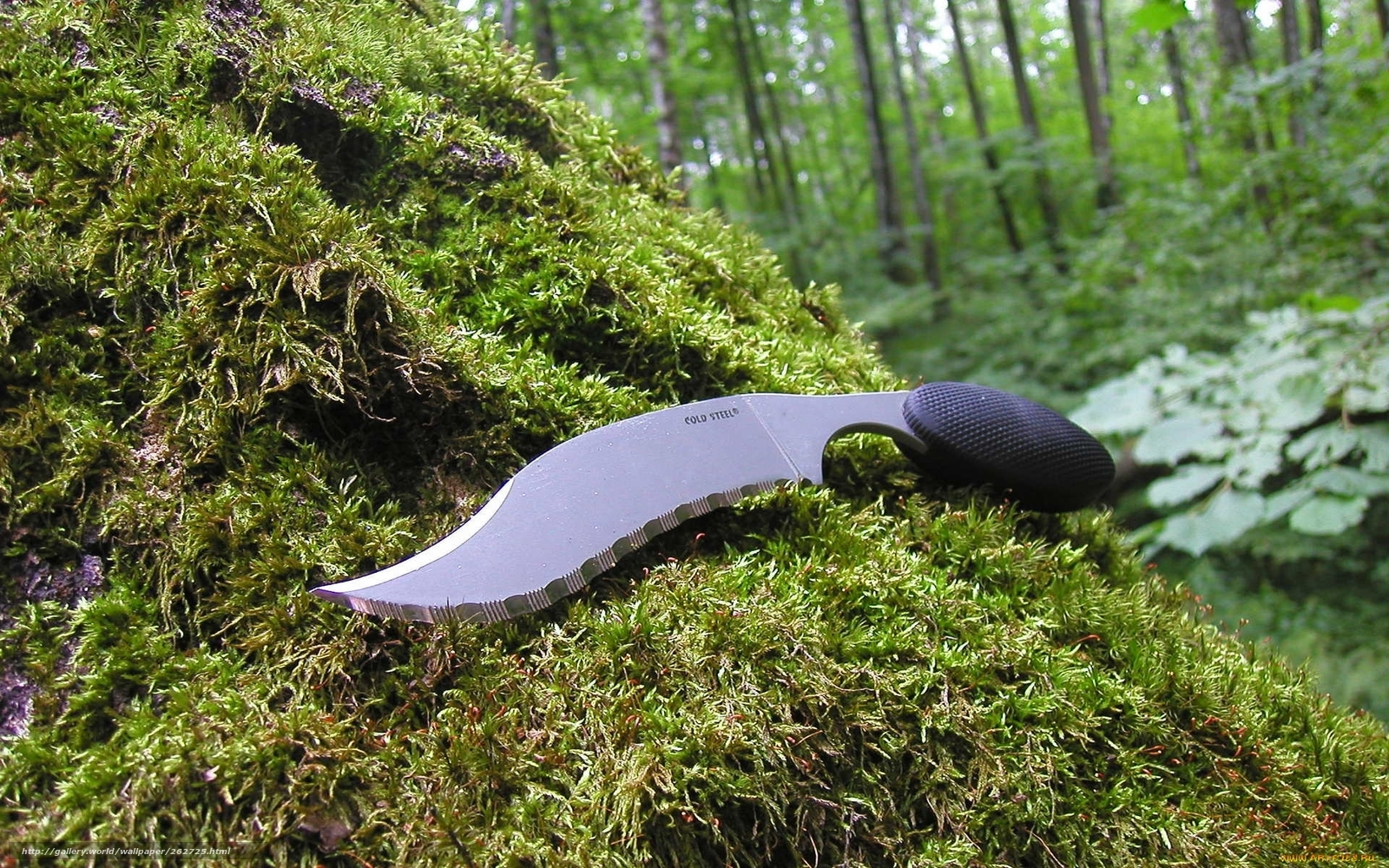 knife on mossy rock