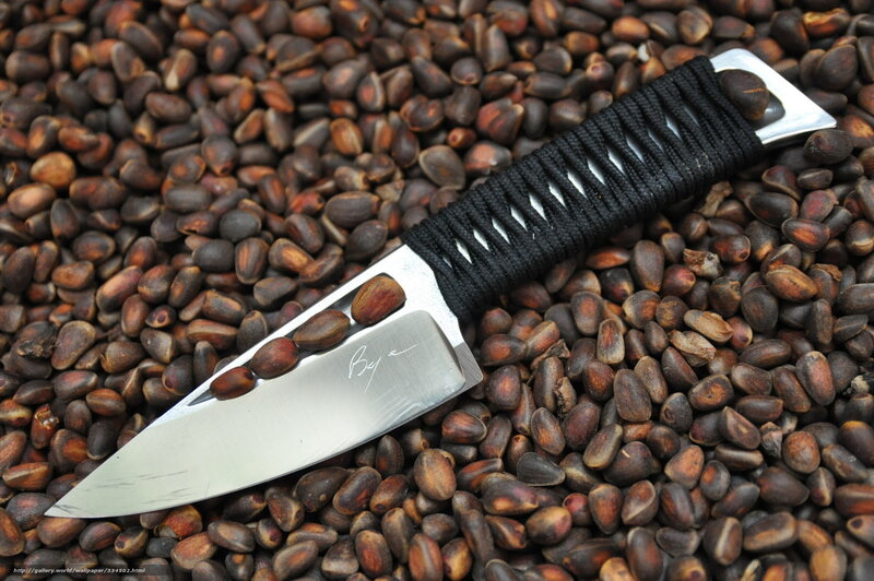 knife on pine cones