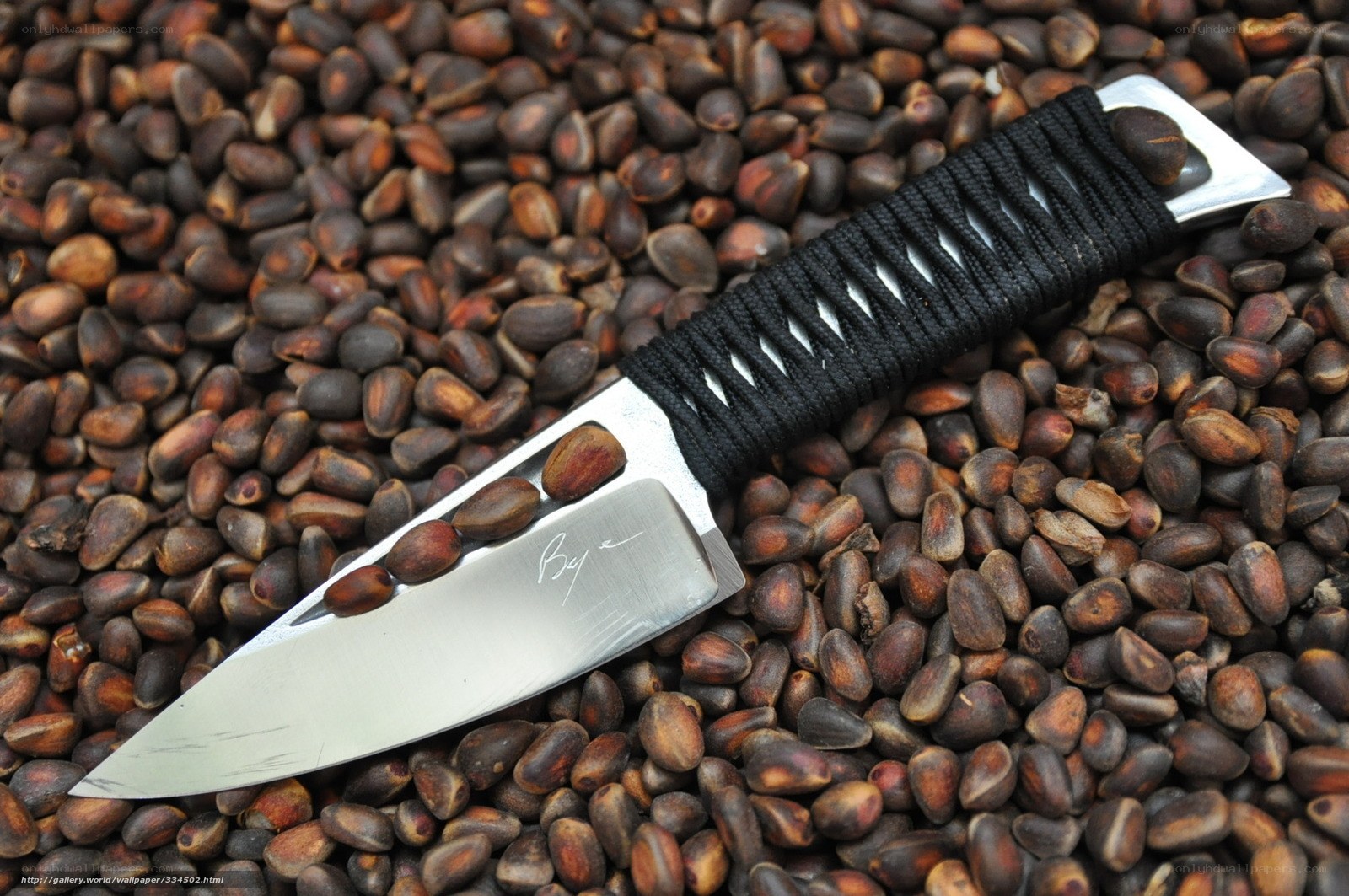 knife on pine cones