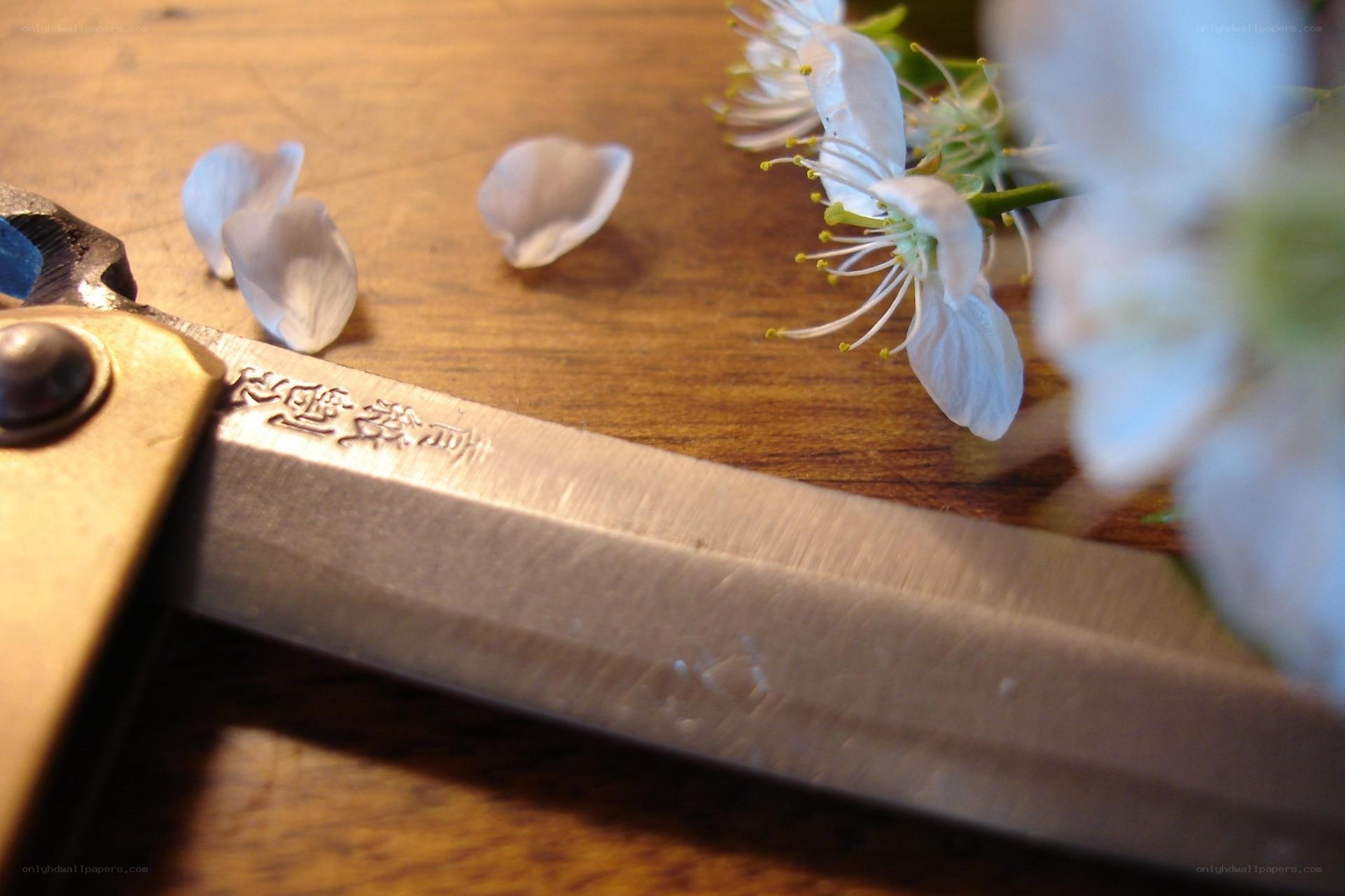 knife with cherry blossoms