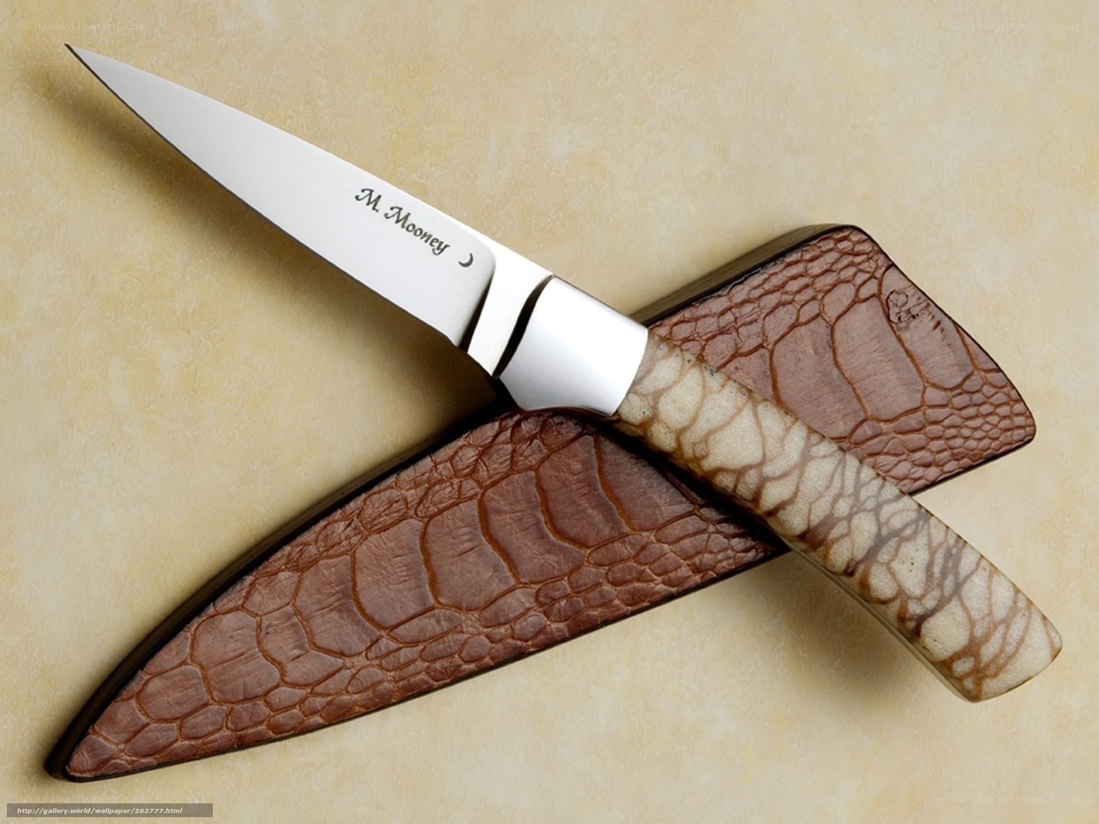 knife with crocodile sheath
