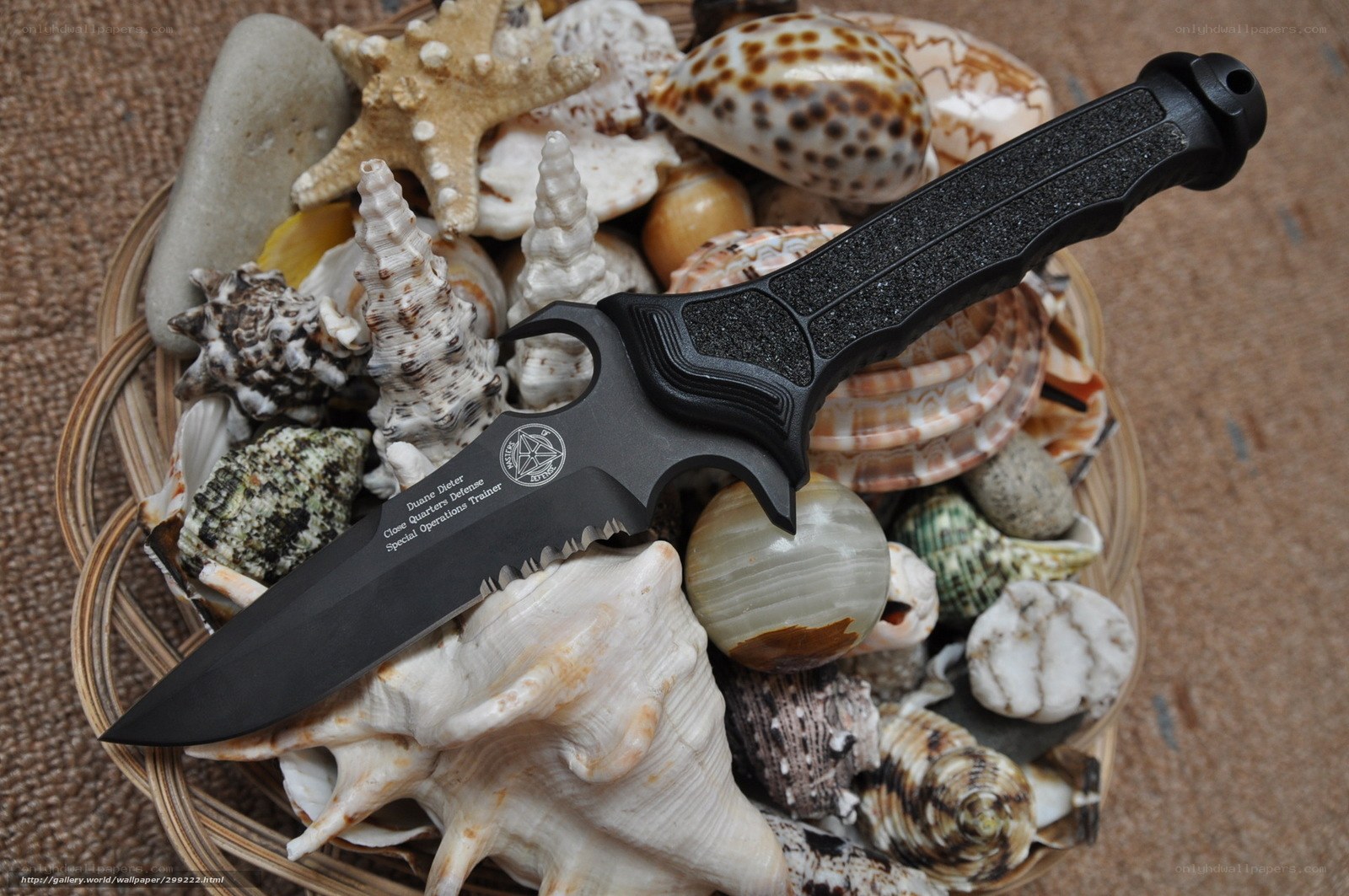 knife with seashells
