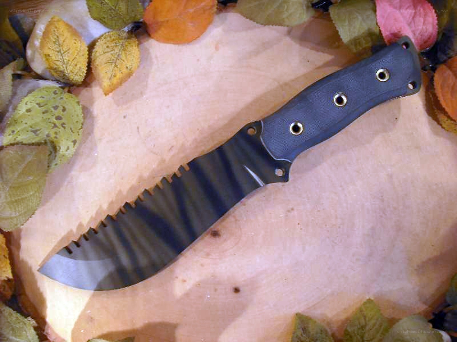 knife with serrated blade