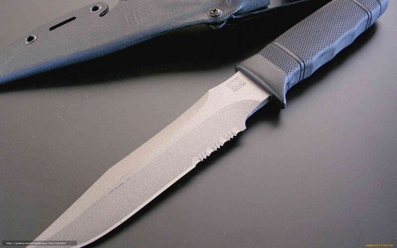 Knife with Sheath