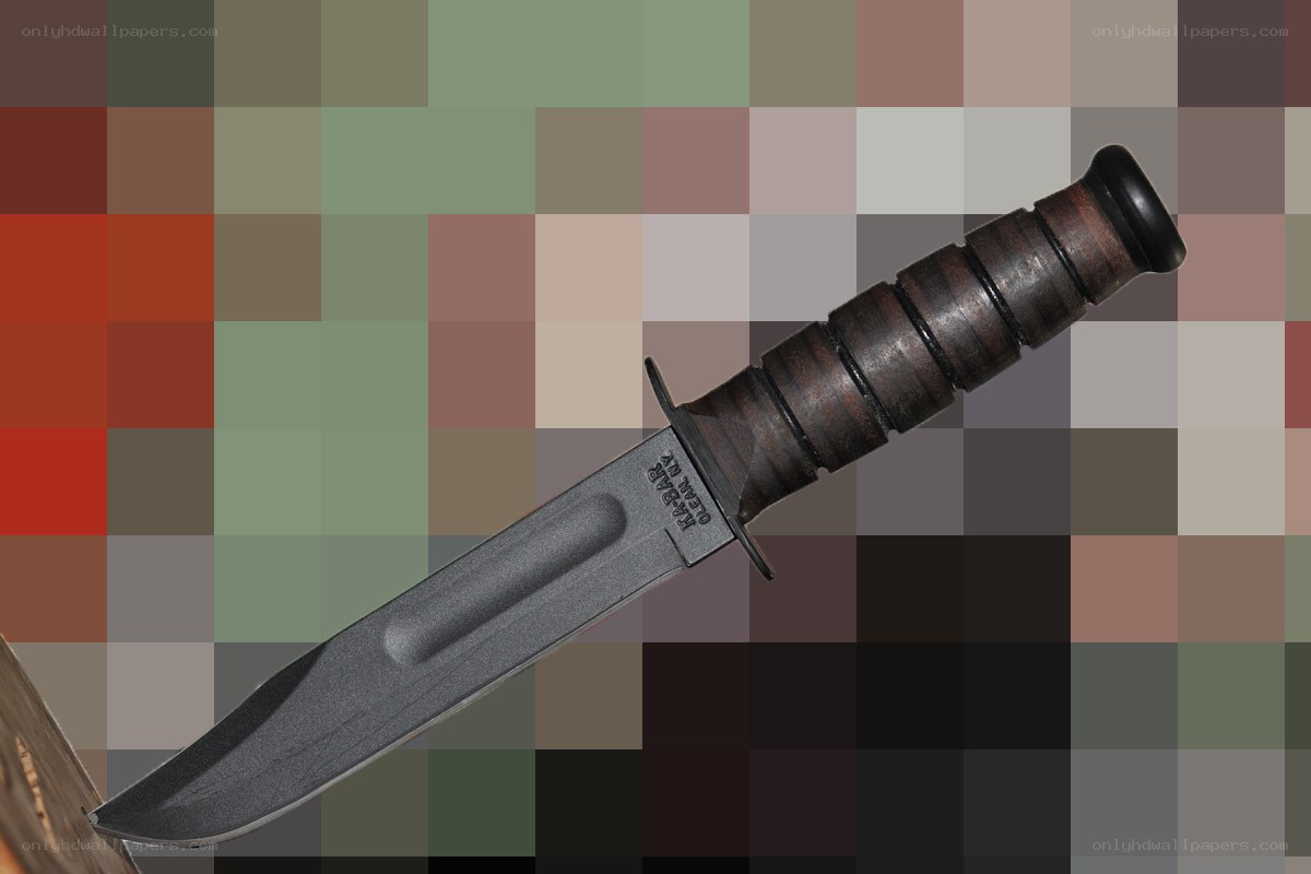knife with wooden handle