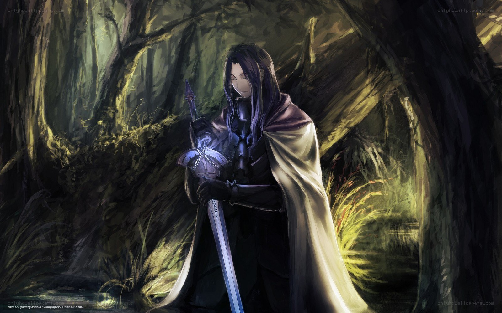 knight in a dark forest
