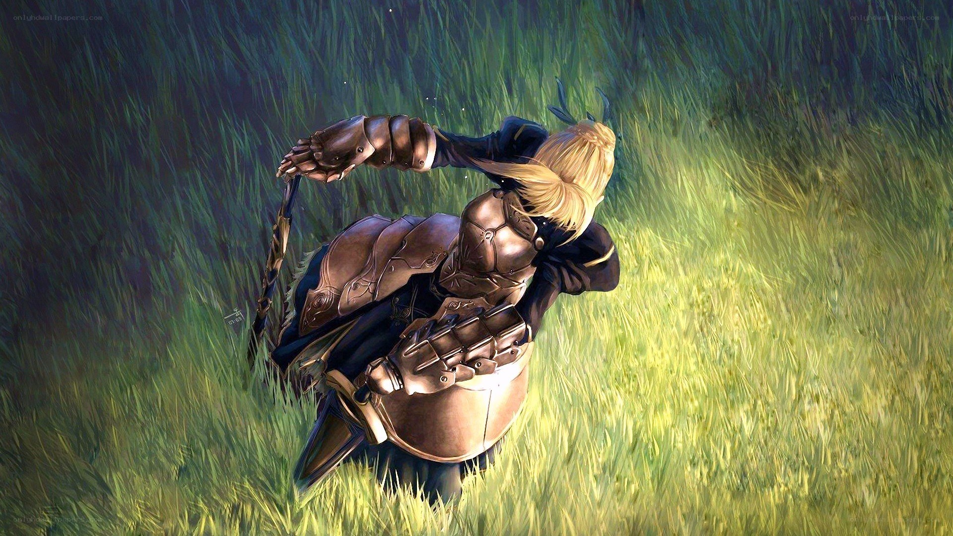 knight in a field