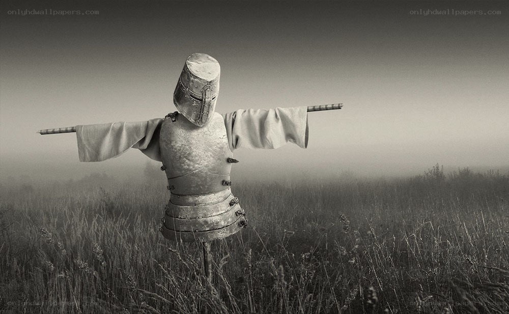 Knight in a field