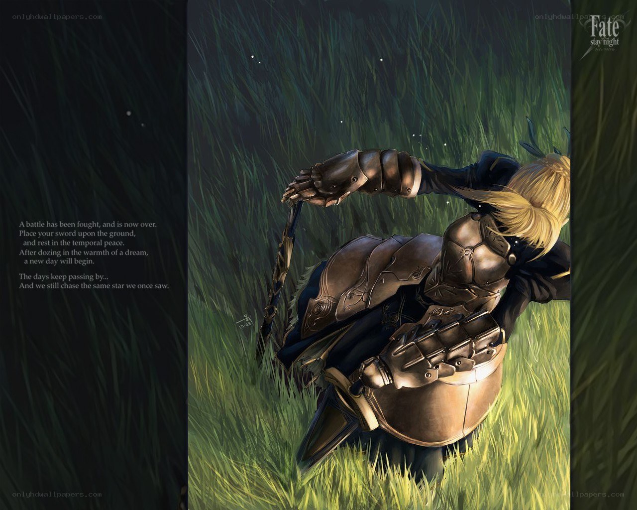 Knight in a field at night