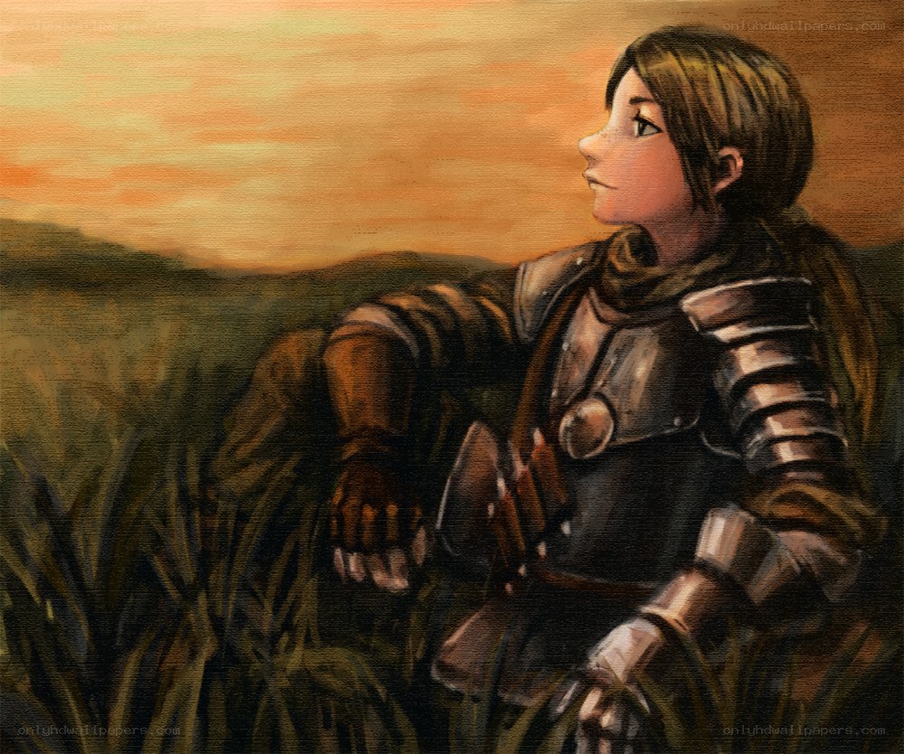 knight in a field at sunset