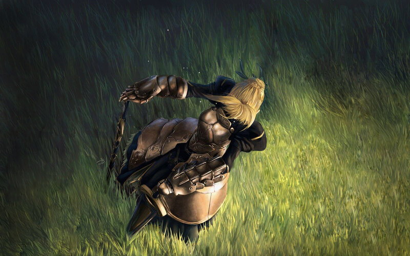 knight in a field