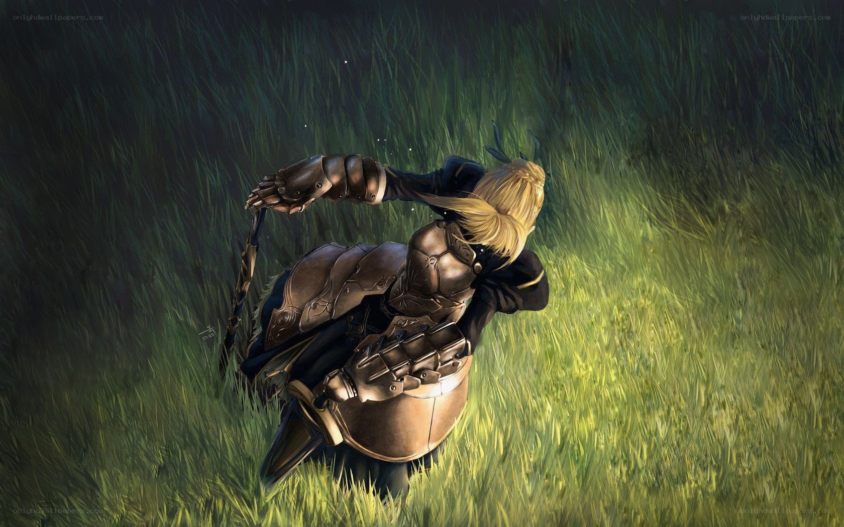 knight in a field