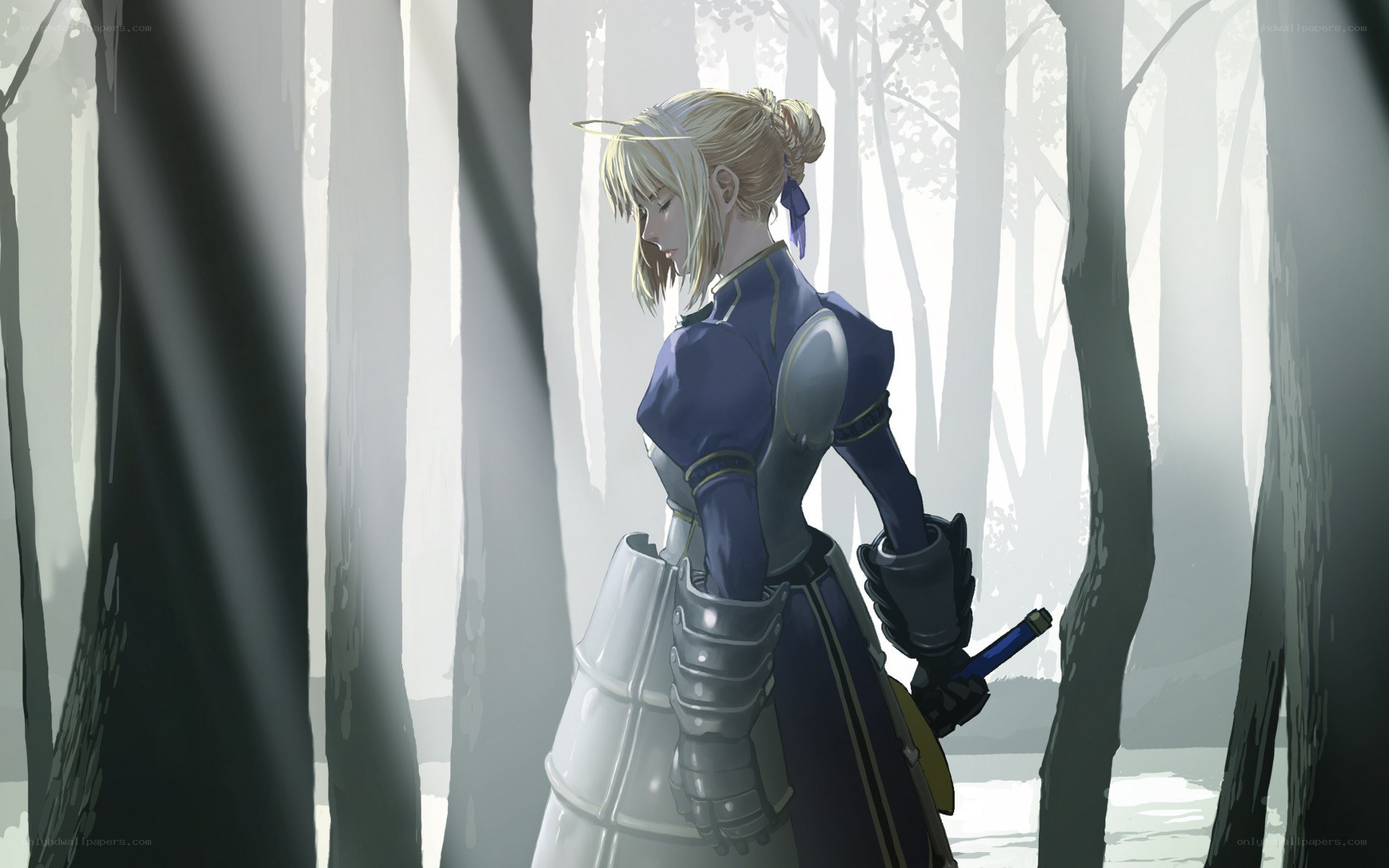 Knight in a misty forest
