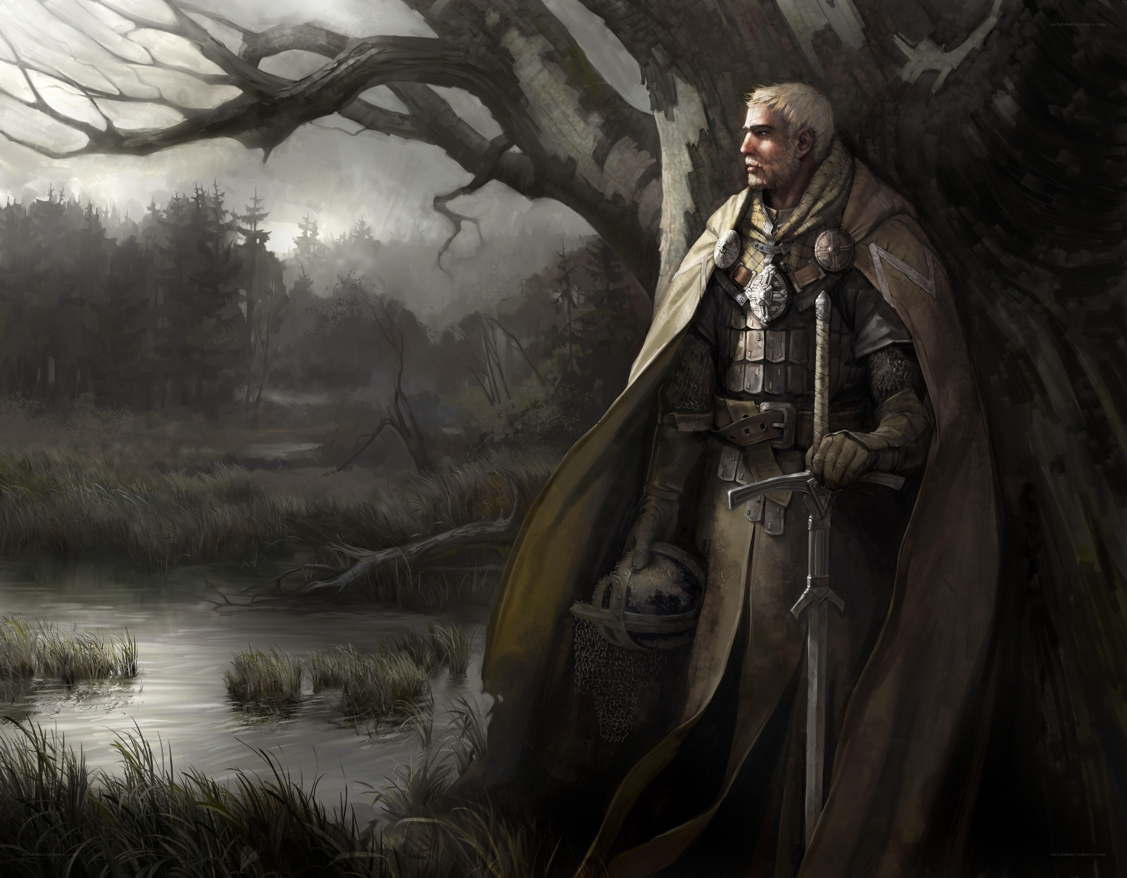 knight in a misty forest