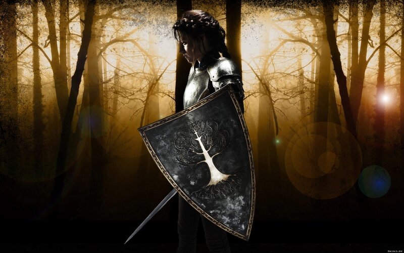 Knight in a misty forest