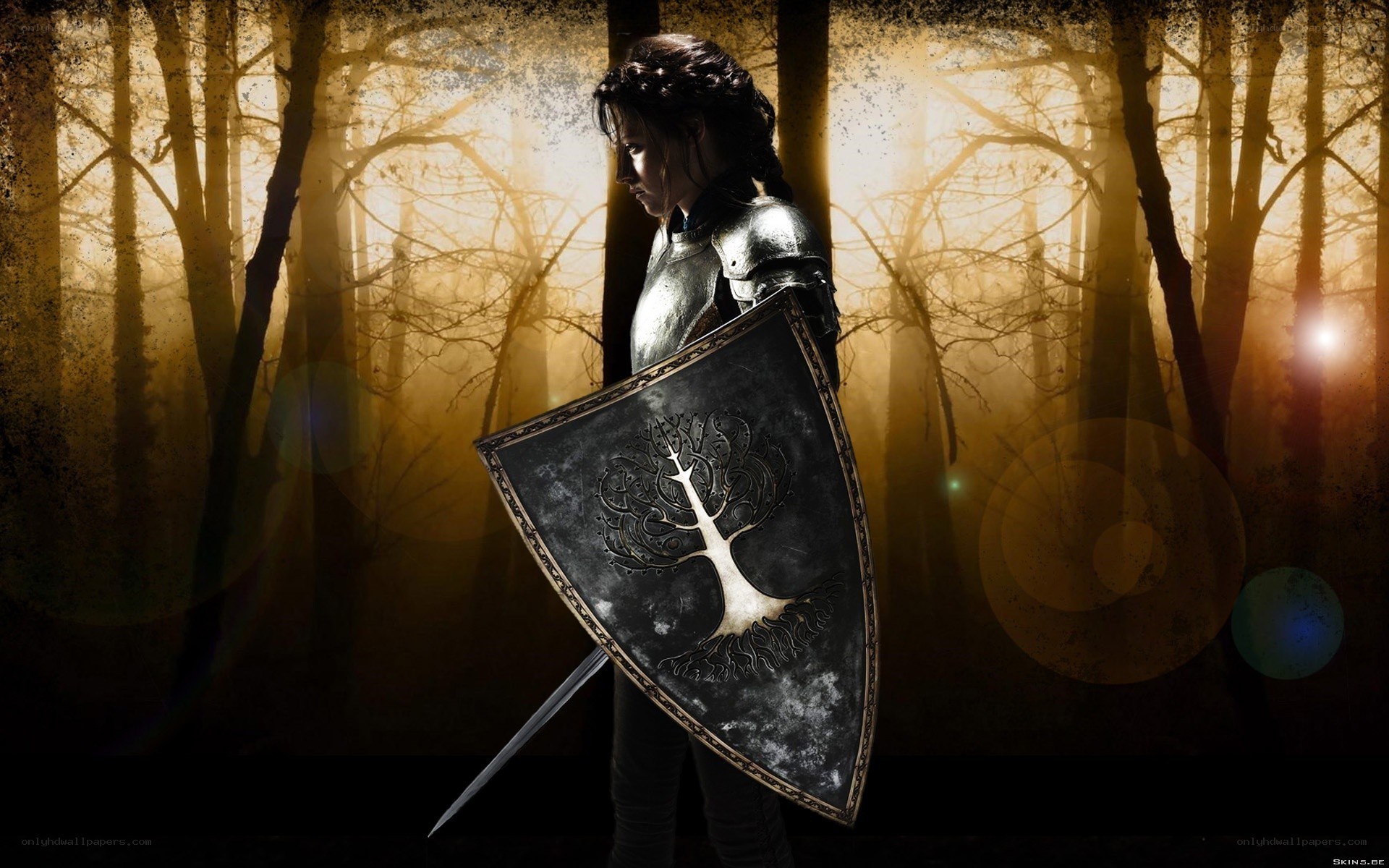 Knight in a misty forest
