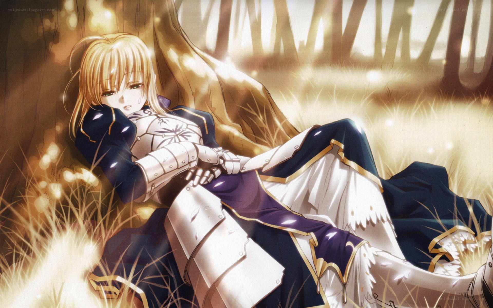 knight in golden light