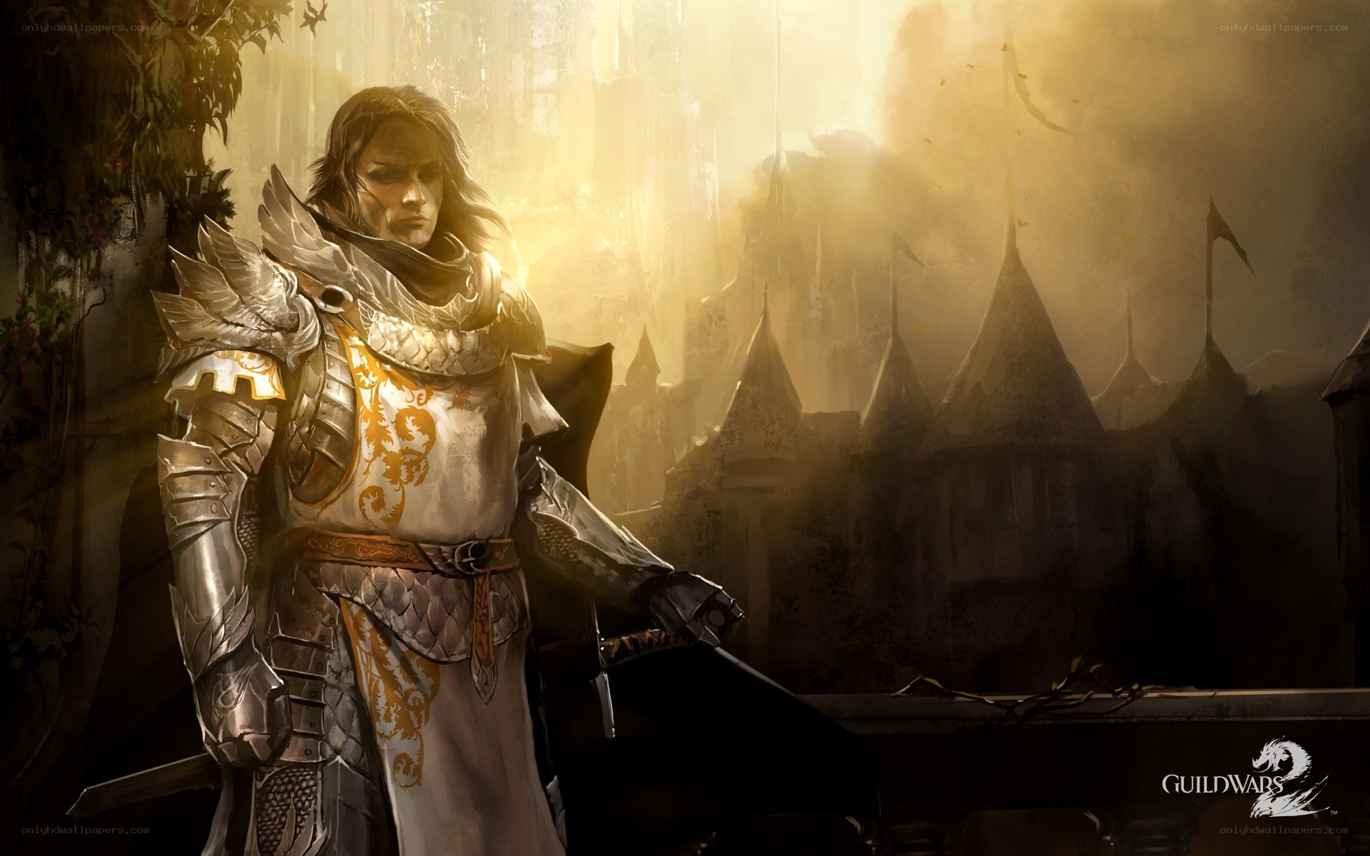 Knight in golden light