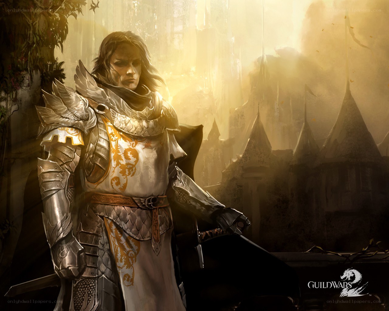 Knight in golden light