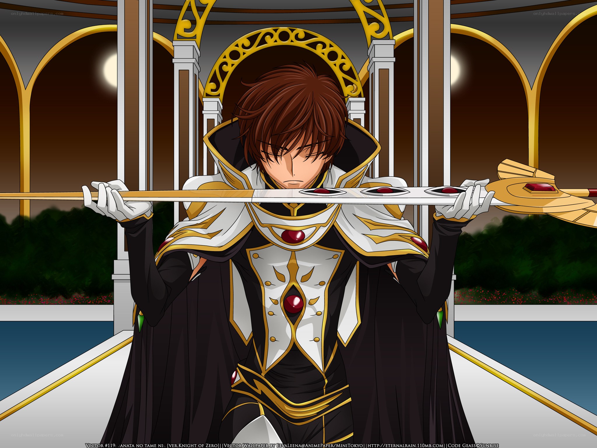 Knight of Zero holding sword